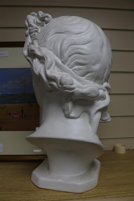 A plaster bust of Apollo